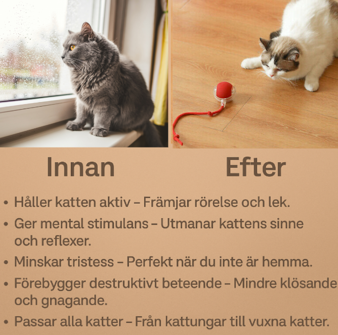 MeowRoll™