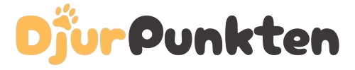 DjurPunkten